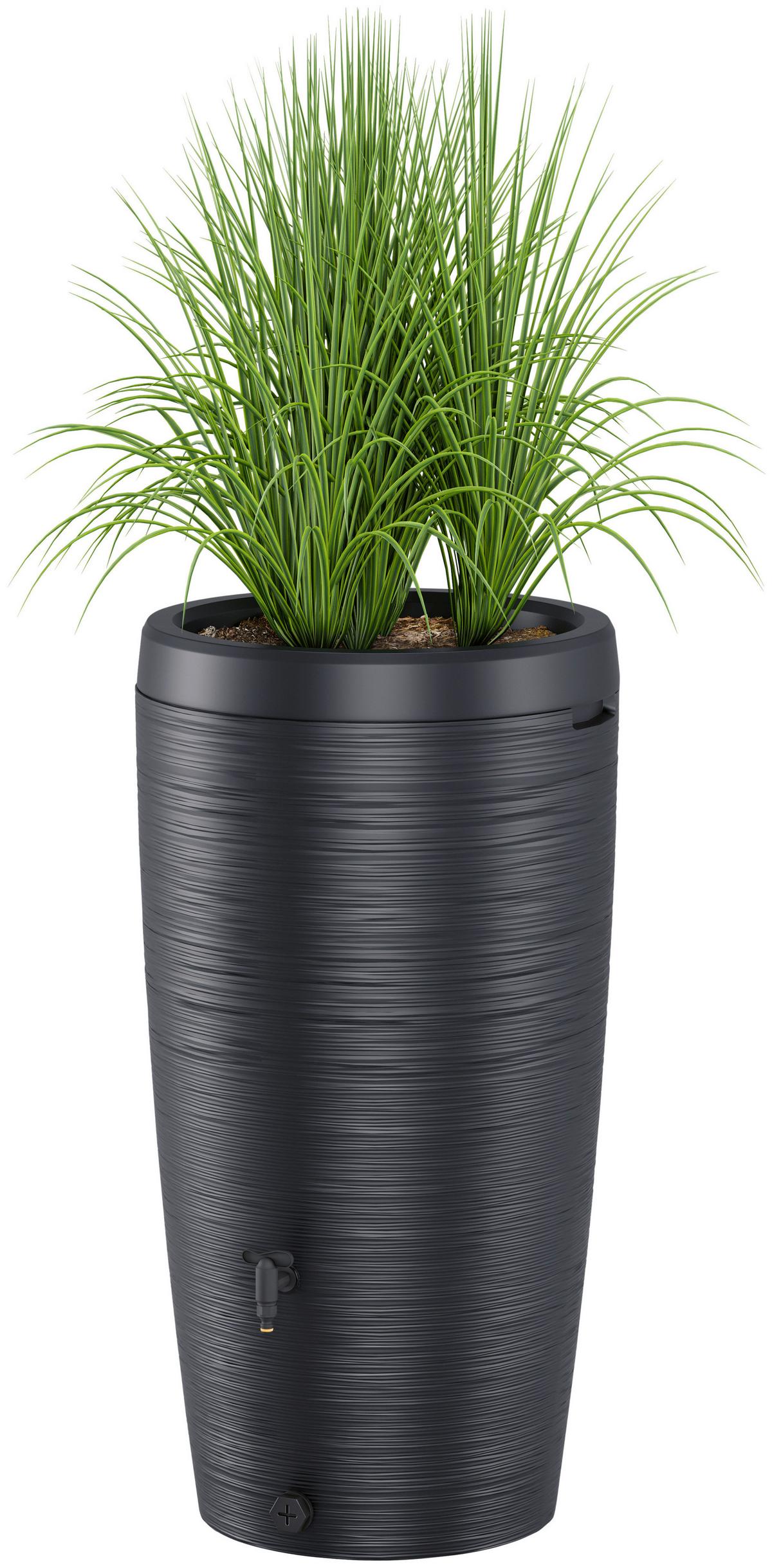 Übertopf Regentonne Gubo Anthrazit - Anthrazit, KONVENTIONELL, Kunststoff (59,5/112/59,5cm) - Mömax