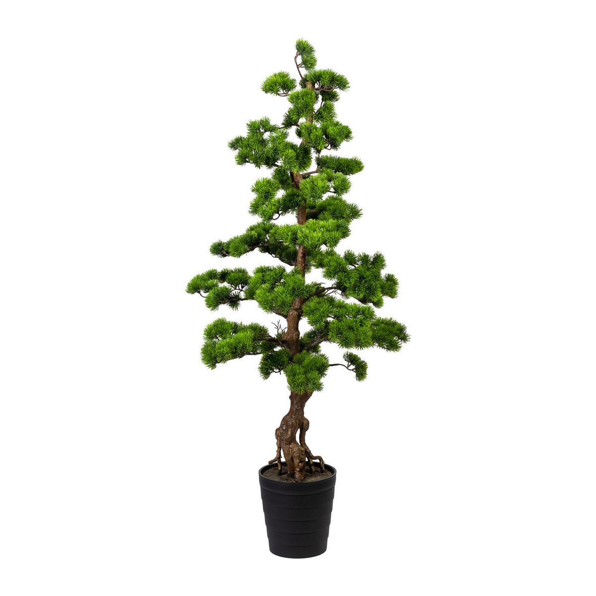 Bonsai 3320179LO-50 aus Kunststoff - Braun/Grün, Trend, Kunststoff (140cm) - P & B