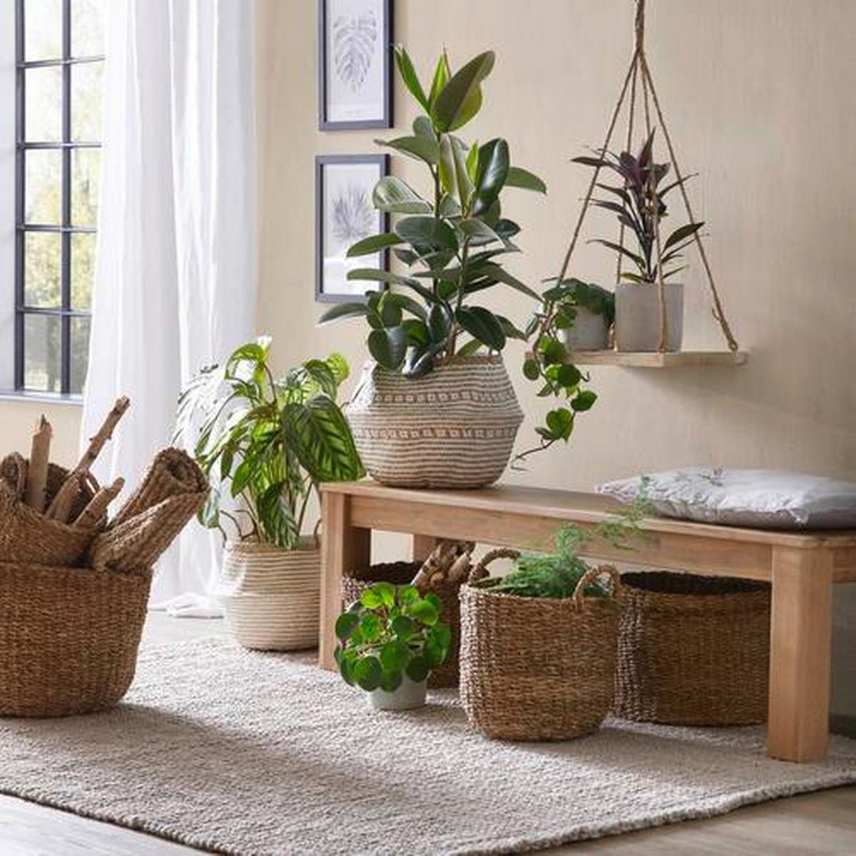 Sitzbank aus Akazie teilmassiv - Akaziefarben, Konventionell, Holz (160/45/40cm) - Zandiara