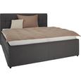 Polsterbett Grau 160x200cm - Schwarz/Grau, KONVENTIONELL, Holz/Holzwerkstoff (160/200cm) - PREMIUM LIVING