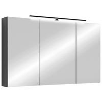 Spiegelschrank Spree Anthrazit - MODERN, Glas/Holzwerkstoff (100/60/20cm) - MID.YOU
