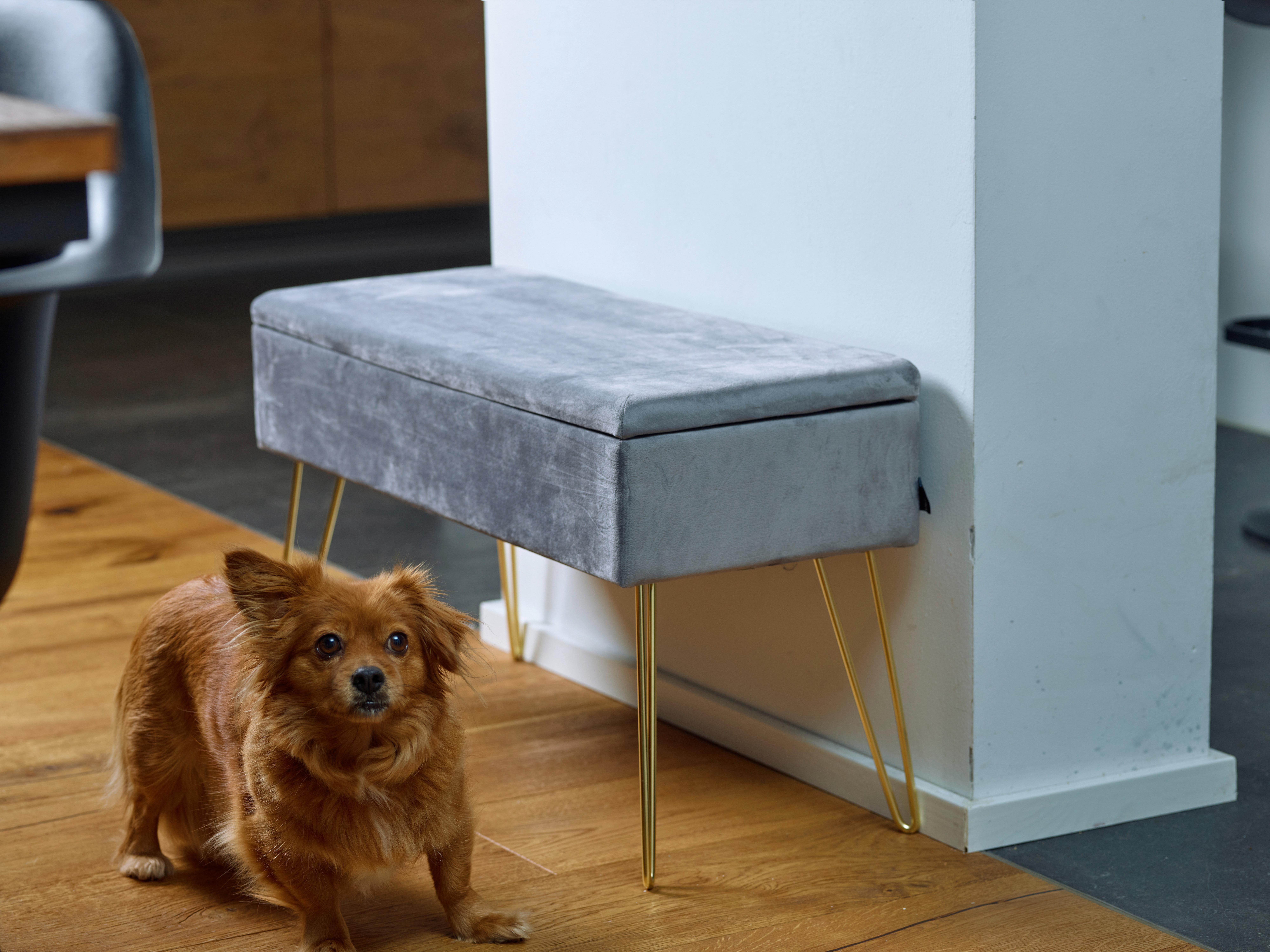 Hockerbank Scarlett Vlies Grau H: 42 cm inkl. Stauraum - Goldfarben/Grau, Design, Textil/Metall (75/42/30cm) - Echtwerk