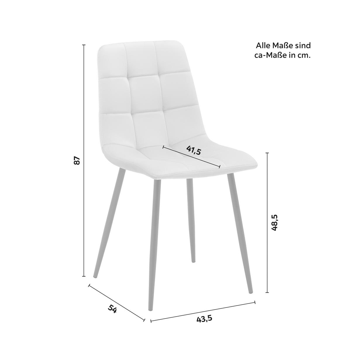 Stol Ria, Roza, Žamet - roza/črna, Moderno, kovina/tekstil (43,5/87/54cm) - Bessagi Home