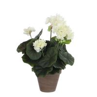 Umetna Rastlina Greta - Konvencionalno (20/34cm) - Mömax
