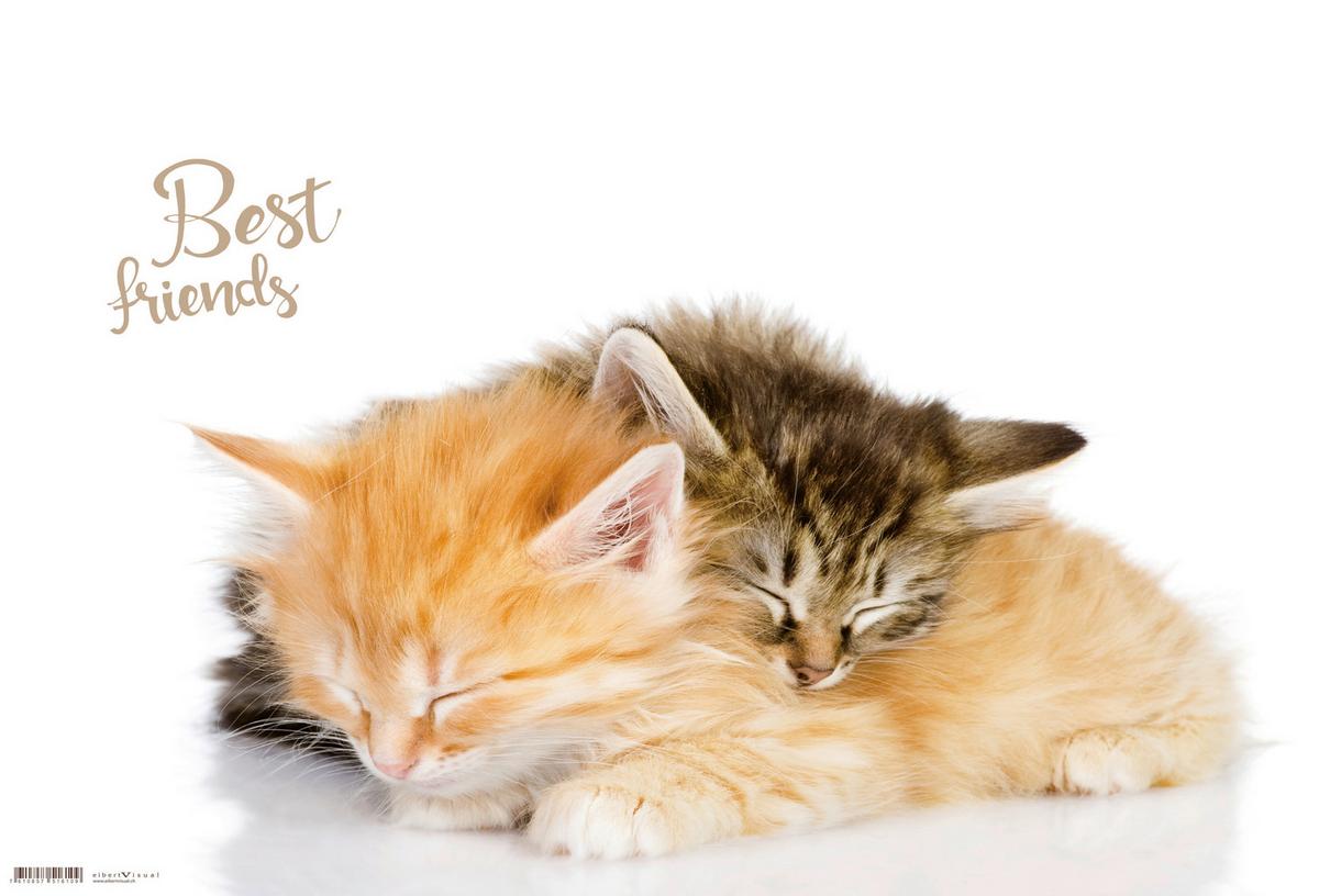 Schreibunterlage Best Friends ca. 60x40cm - Kunststoff (60/40cm)