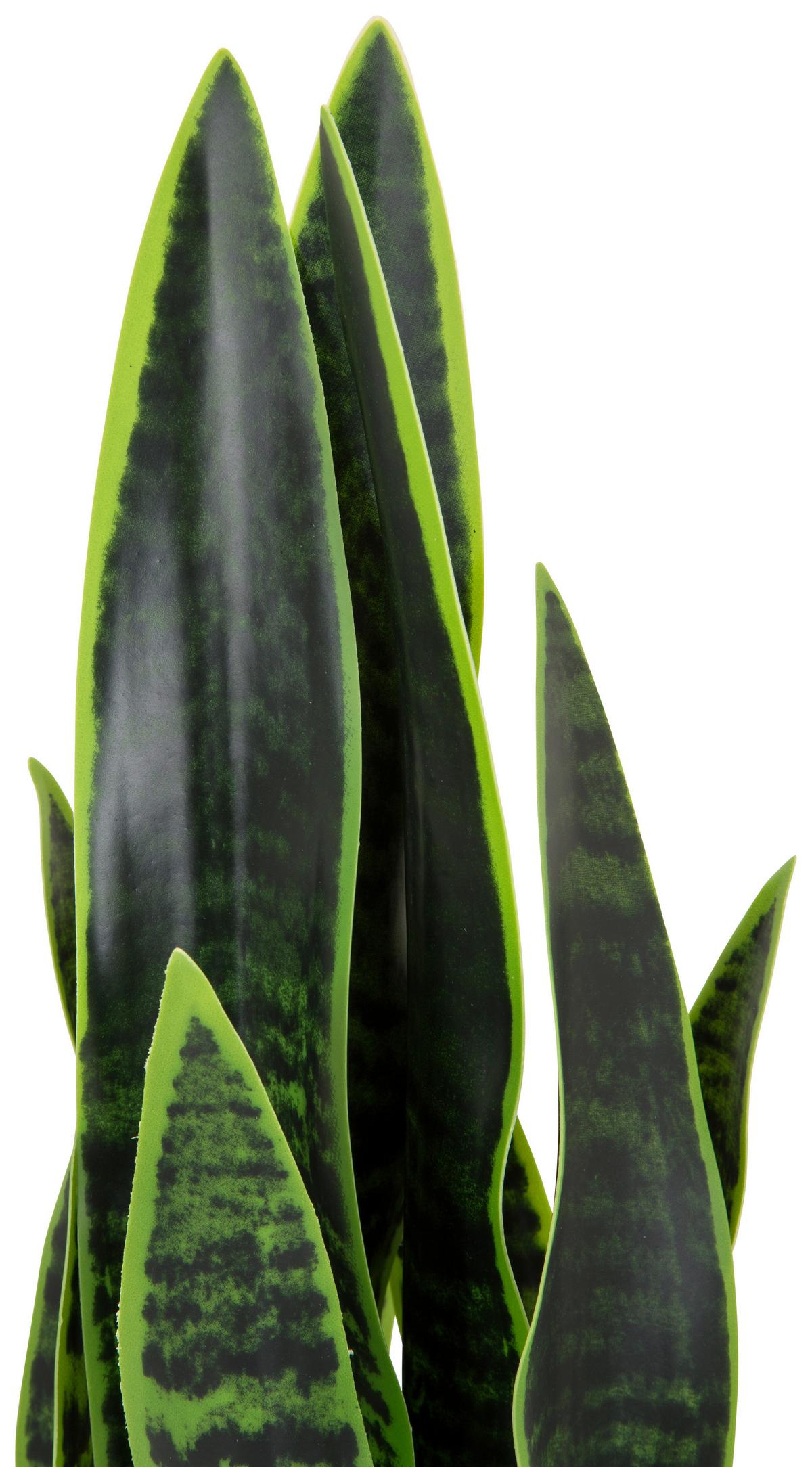 Umetna Rastlina Sansevieria - zelena/bela, Basics, umetna masa/tekstil (16/65/16cm) - MID.YOU