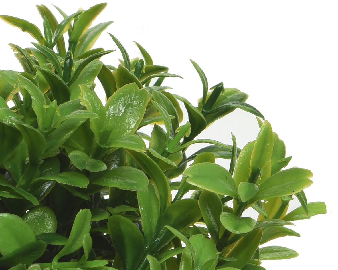 Plantă decorativă Pure Natural - Lifestyle (16/13cm)