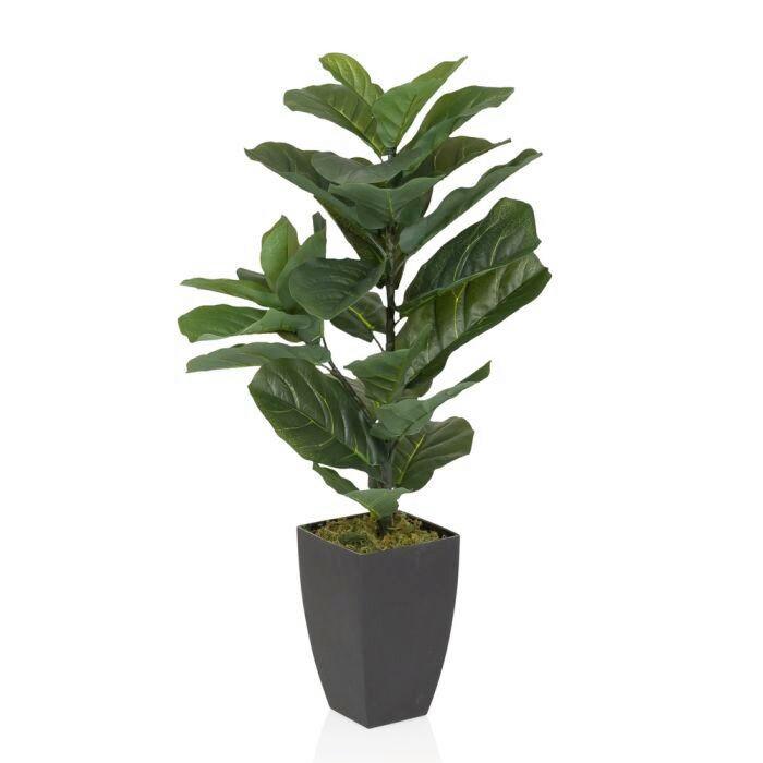 Umetna Rastlina Lyrata - črna/zelena, Moderno, umetna masa (20/80/20cm) - MID.YOU