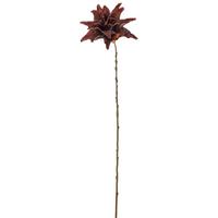 Kunstpflanze Casablanca I Dunkelbraun - Dunkelbraun, Basics, Kunststoff (92cm) - Mömax