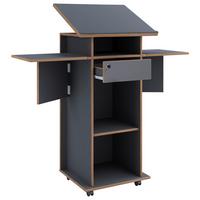 Stoječi Pult Salia M, Antracit, Barva Hrasta - medeni hrast/antracit, Design, leseni material (123/128/44cm) - MID.YOU