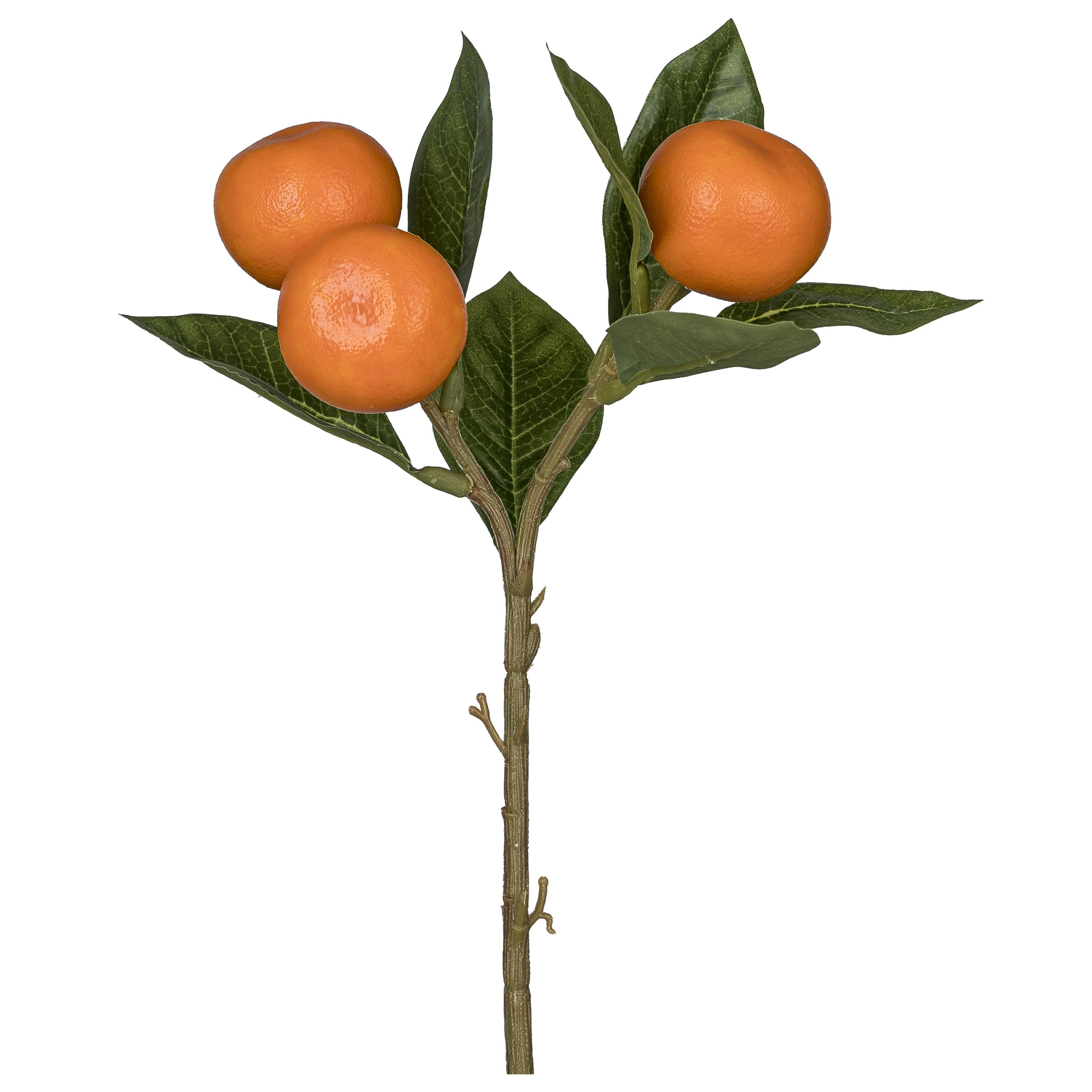 Dekor Gally Mandarin - barna/narancs, Konventionell, műanyag (25cm) - Mömax
