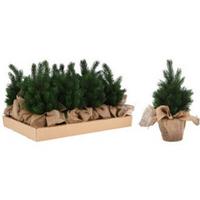 Dekor Műfenyő X-Mas Tree - zöld, műanyag (19/30cm)