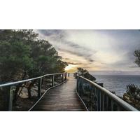 OBRAZ ALUMINIOWY B1951 ST-X - szary, Design, metal (120/70cm) - Monee