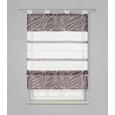 Storuri Romane Anita - gri, Konventionell, textil (60/140cm) - Modern Living Storuri Romane Anita - gri, Konventionell, textil (60/140cm) - Modern Living