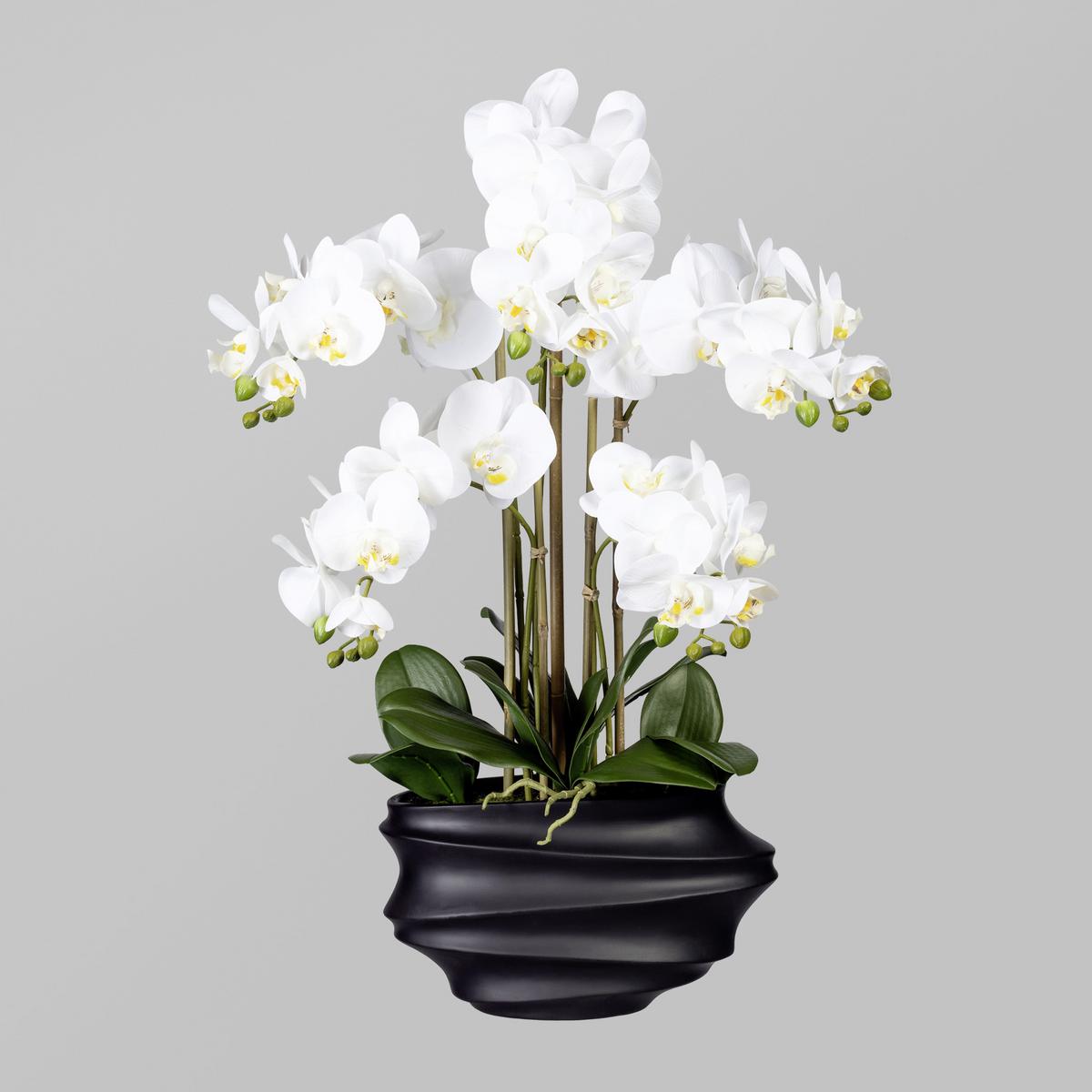 Kunstblume Orchidee, ca. 75cm - Schwarz/Weiß, Trend, Kunststoff (75cm) - P & B
