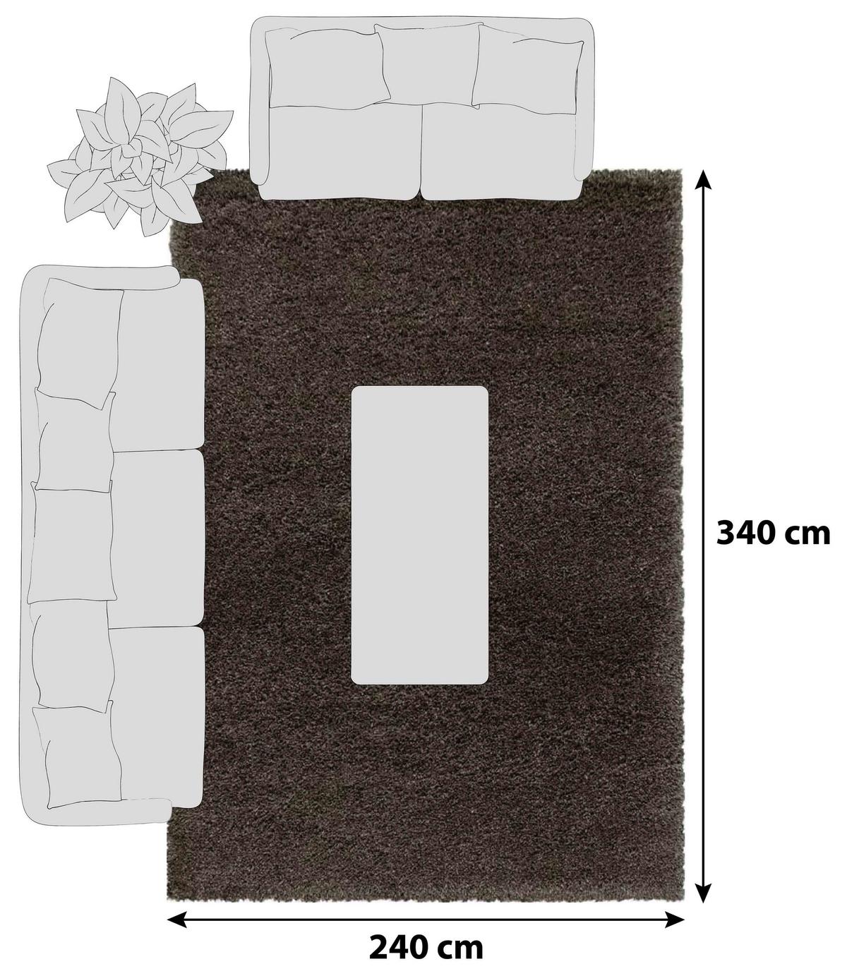 Hochflorteppich Fluffy Braun ca. 240x340cm - Braun, Basics, Textil (240/340cm)