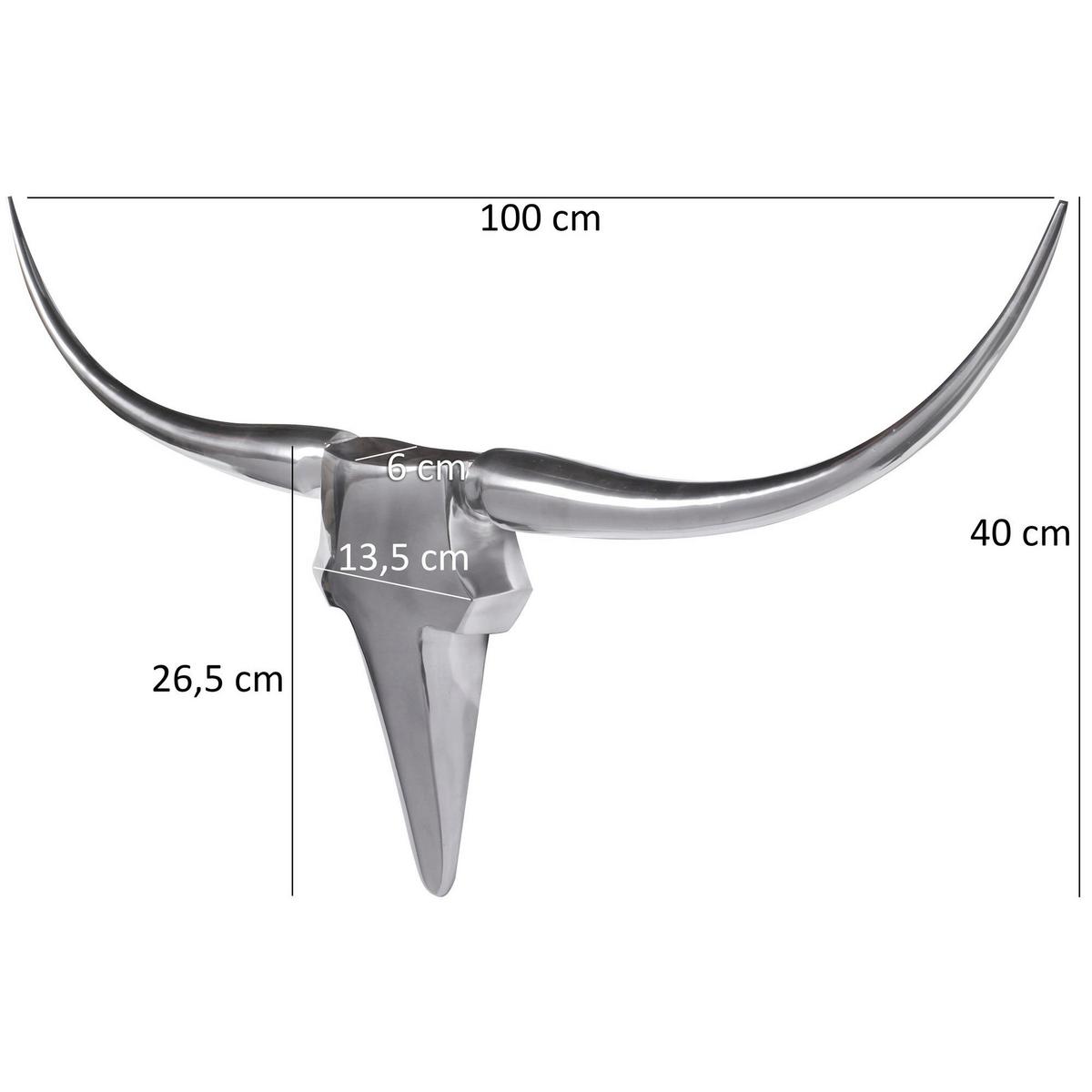 Wanddeko Wohnling Silberfarben - Silberfarben, MODERN, Metall (100/40/6cm) - MID.YOU
