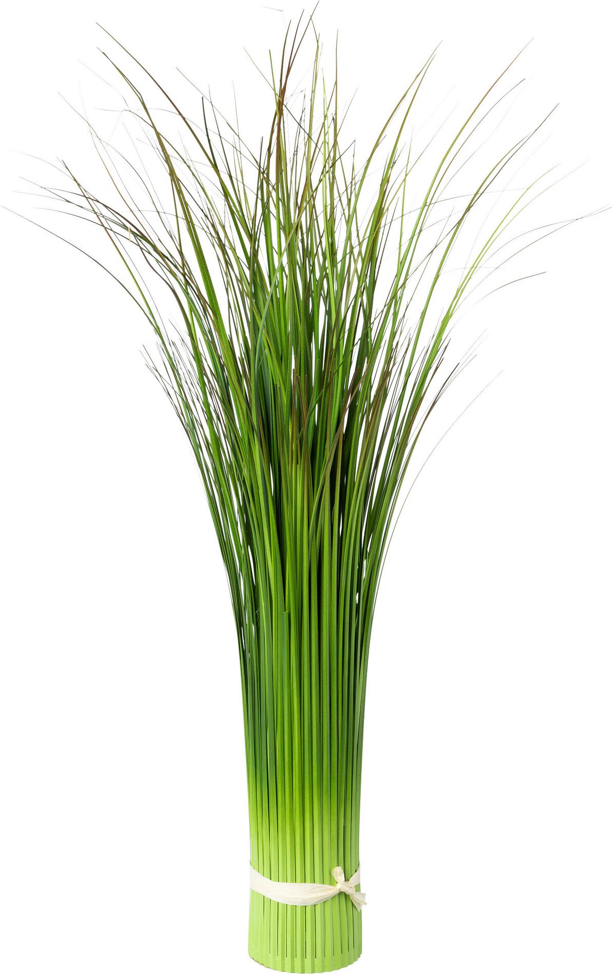 Grasbündl Markus in Grün - Grün, Basics (60cm) - Modern Living