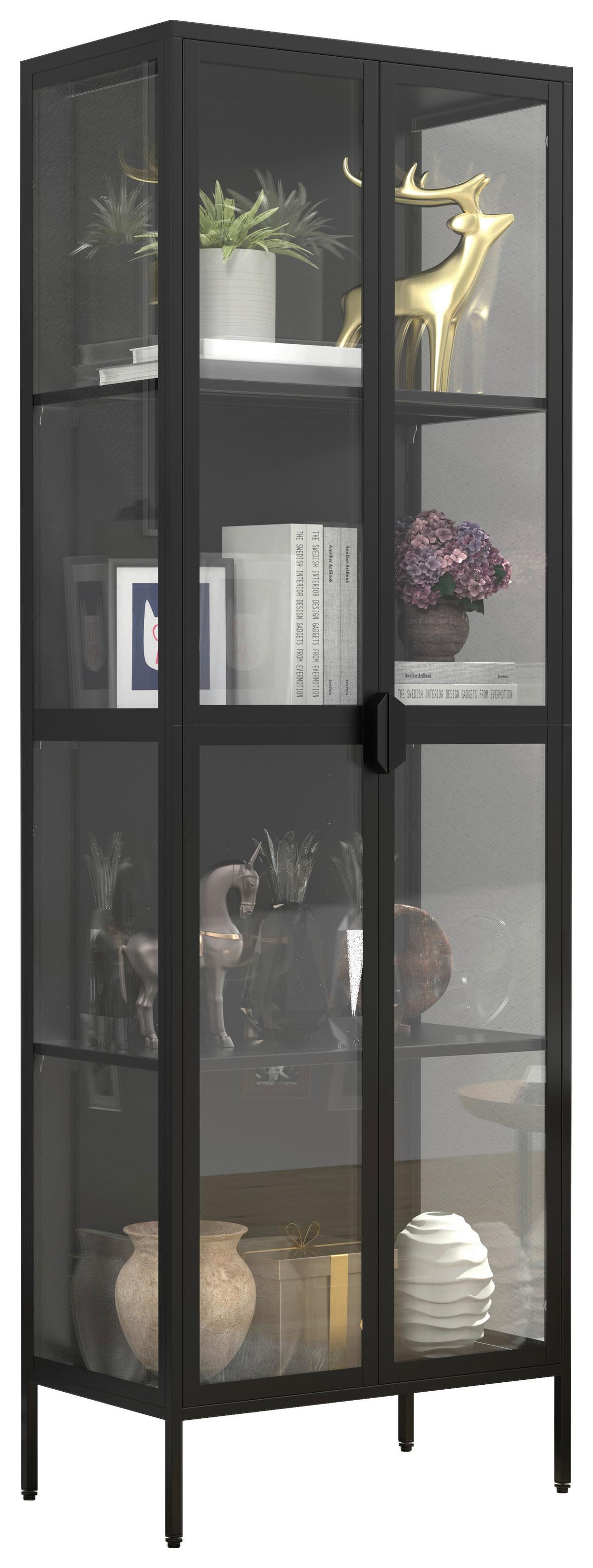 Vitrina Floka Xxl, Črna - črna/prosojno, Design, kovina/steklo (60/180/35cm) - MID.YOU