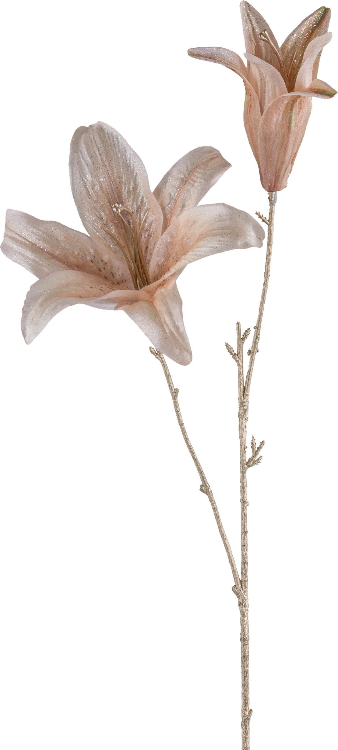 Dekozweig Lilie I Beige - Beige, Konventionell, Kunststoff (67cm) - Modern Living