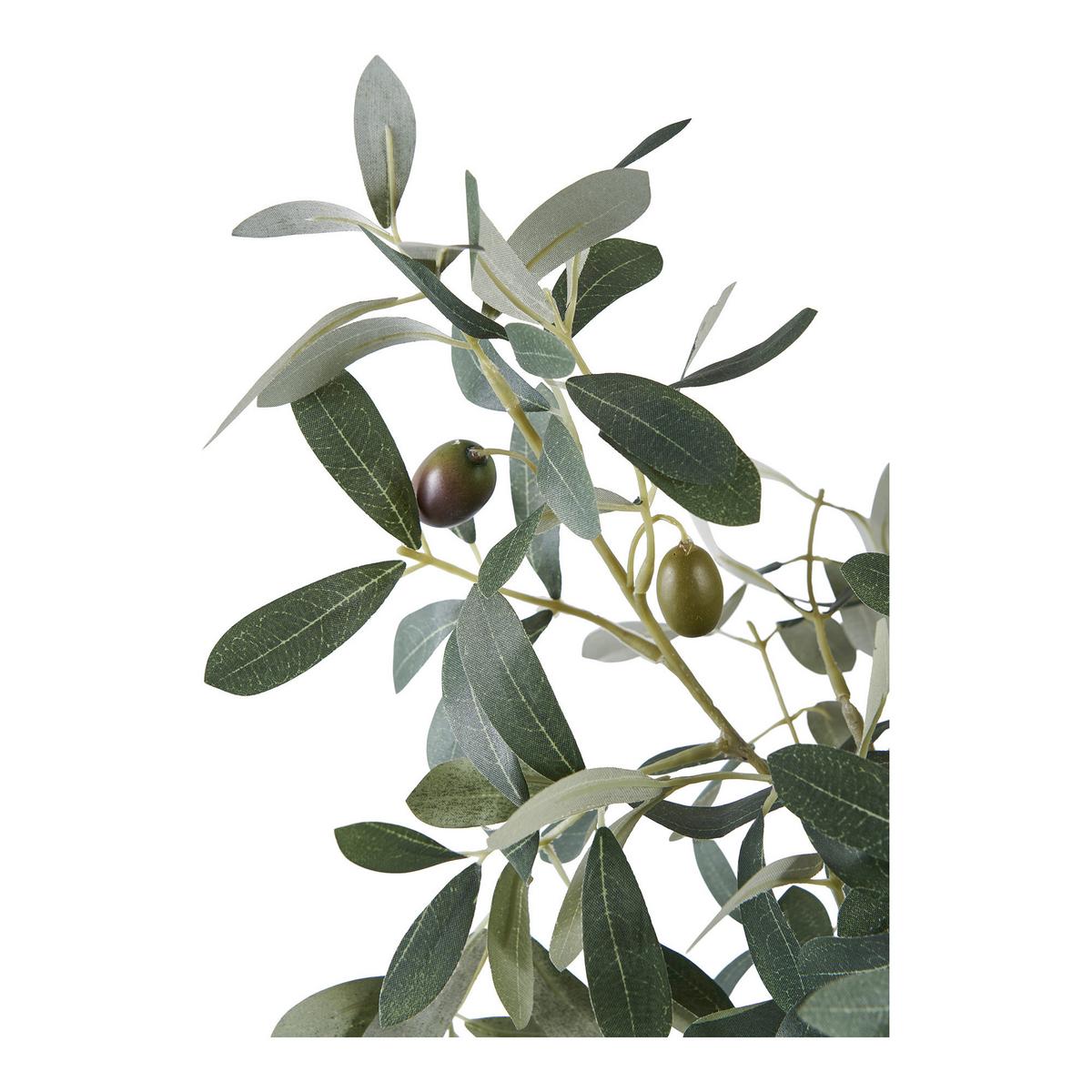 Kunstpflanze Olive Tree Grün - Grün, Design (22.5/61/36.5cm)