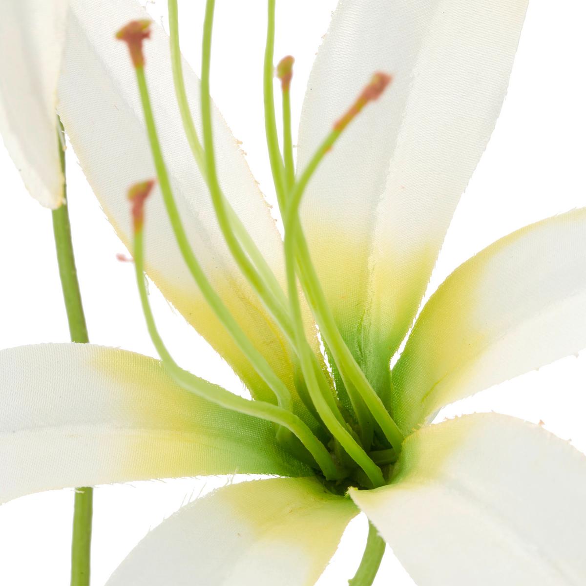 Lilie I Weiß ca. 100cm - Weiß/Grün, Basics, Kunststoff/Textil (100cm) - Mömax