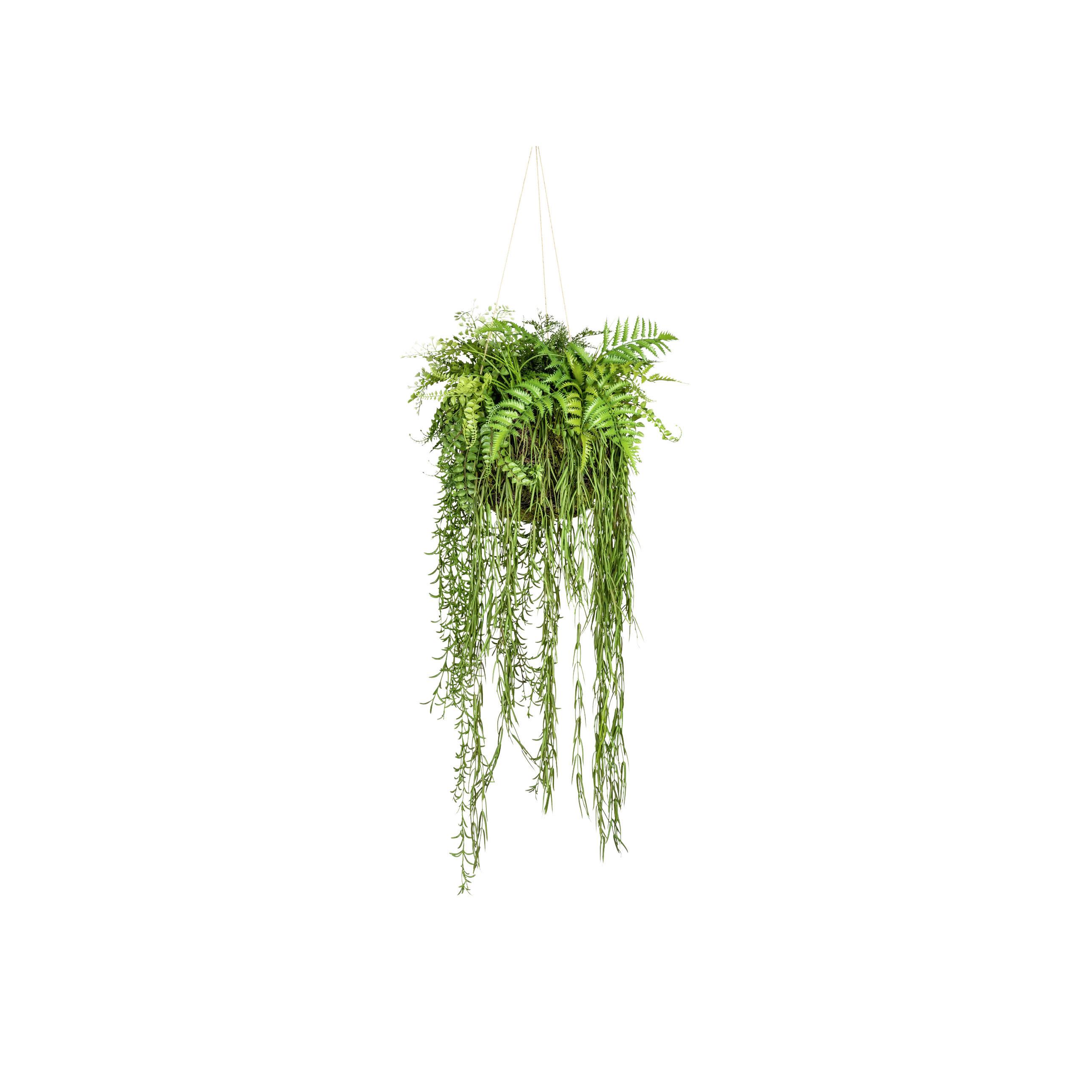 Kunstpflanze Hängepflanzen Grün - Grün, Design, Kunststoff (40cm)