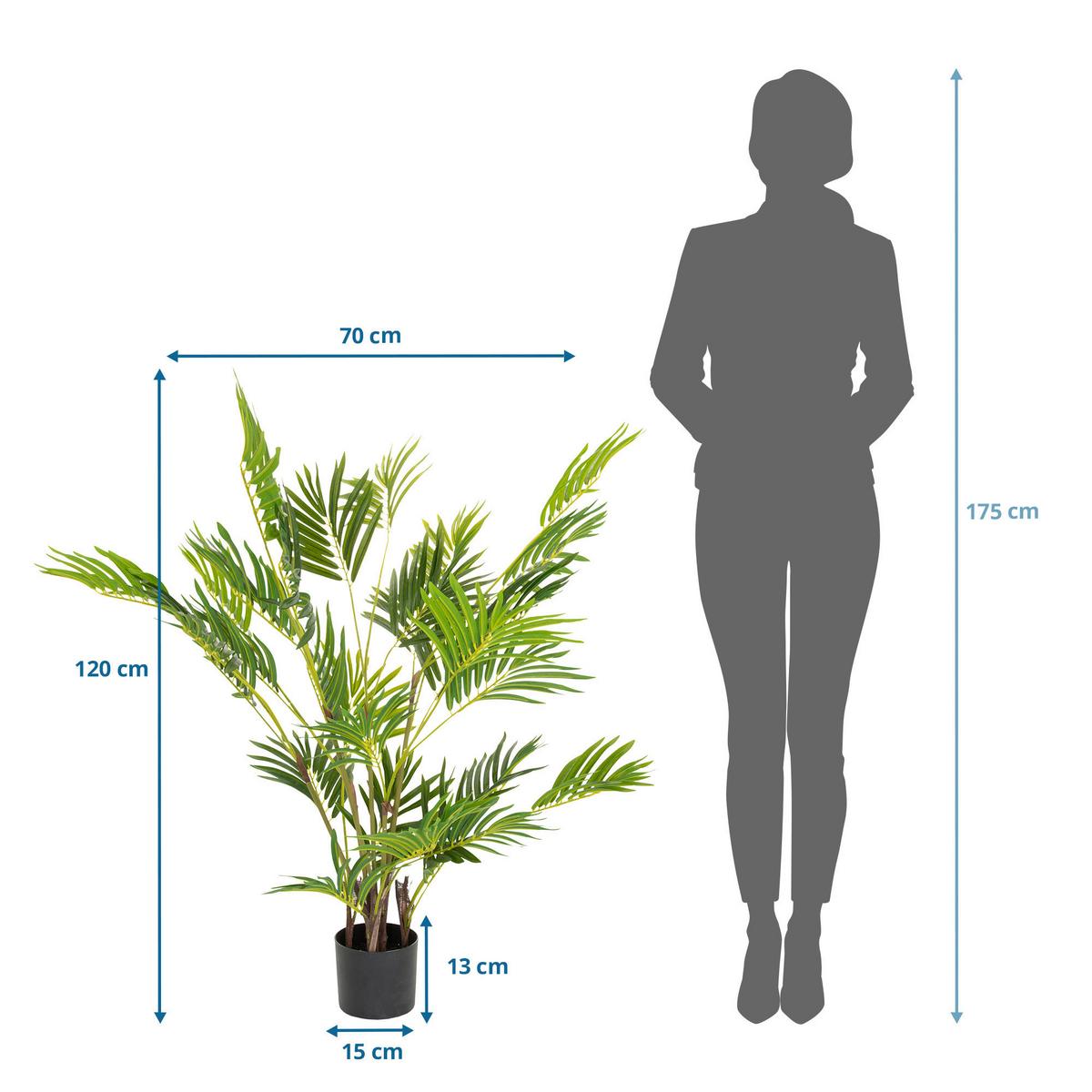 Umetna Rastlina Areca I - črna/zelena, Basics, umetna masa (70/120/70cm) - MID.YOU