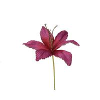 Cvijet Dekorativni Natal - ružičasta, Basics, plastika (23/10/60cm)