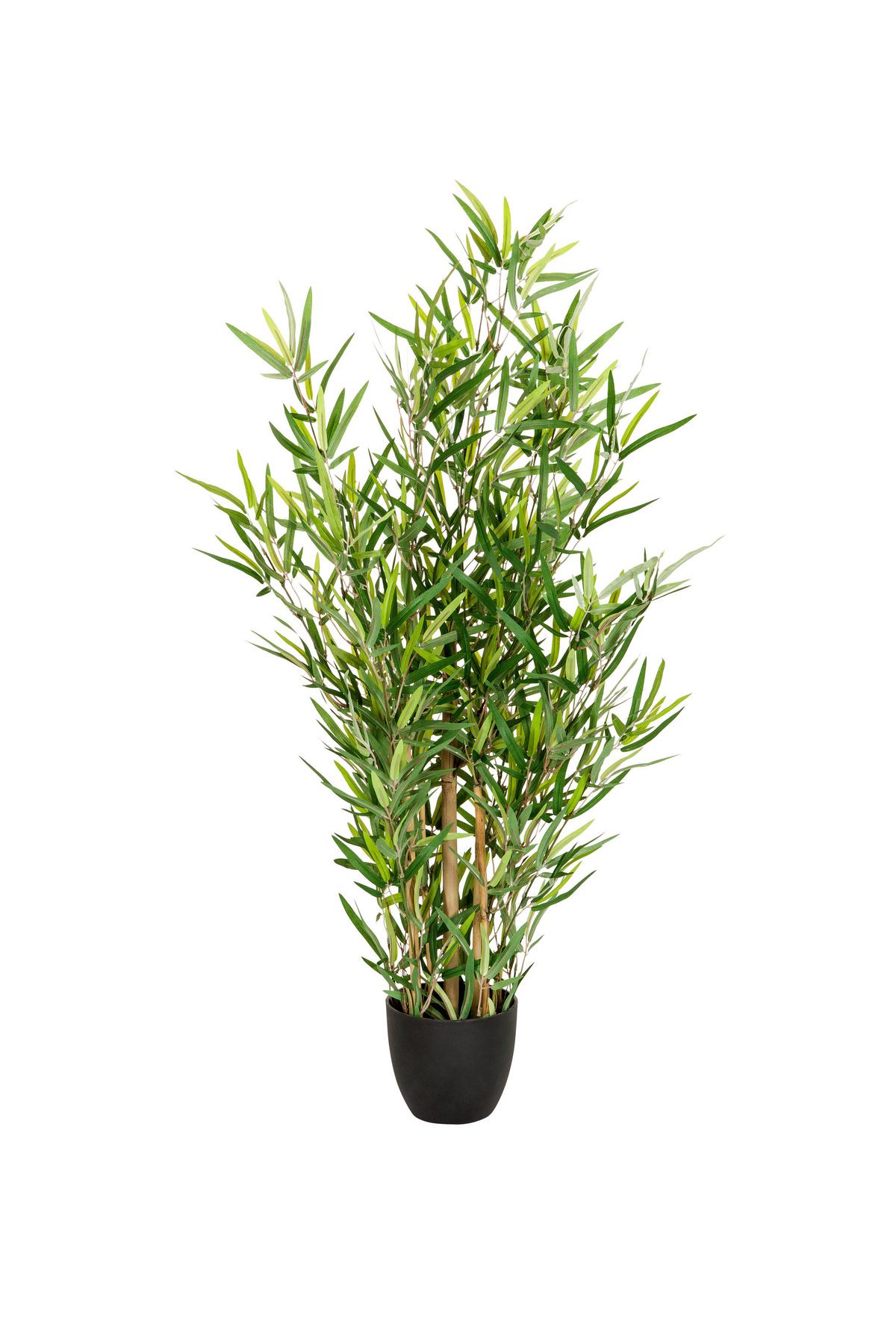 Umetna Rastlina Bambus - svetlo rjava/črna, Basics, umetna masa/tekstil (60/100/60cm) - MID.YOU