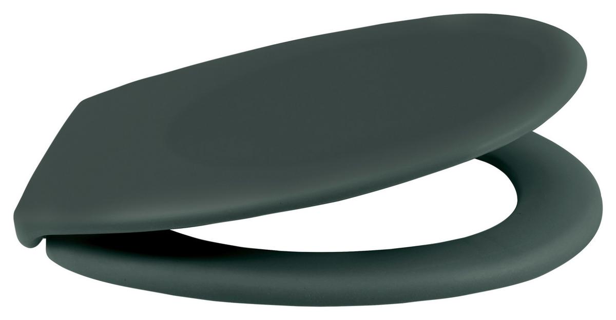 Wc-sitz Neela - Dunkelgrün, Kunststoff (37/45,5/5cm) - Spirella