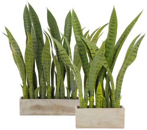 Plantă artificială Vitus - verde, plastic (58cm)