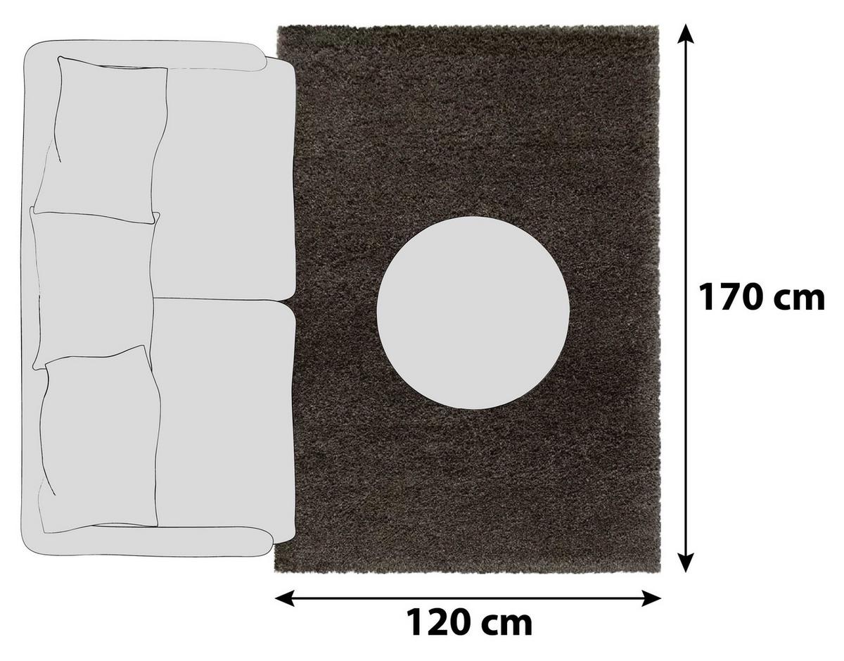 Hochflorteppich Fluffy Braun ca. 120x170cm - Braun, Basics, Textil (120/170cm)