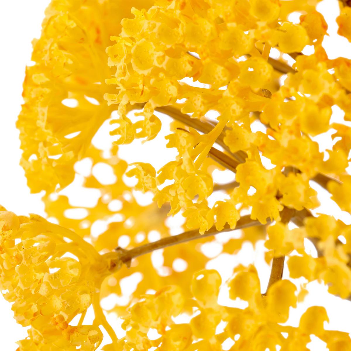 Kunstblume Achillea I Gelb ca. 70cm - Gelb/Creme, Basics, Kunststoff/Textil (70cm) - Mömax