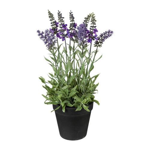 Kunstpflanze in Lila ca. 35cm - Lila/Schwarz, Basics, Kunststoff (35cm) - P & B