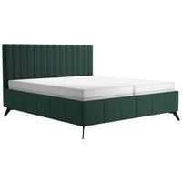 Tapecirani Krevet Vivien 2 - tamno zelena/crna, Moderno, drvo/tekstil (160/200cm) - Modern Living