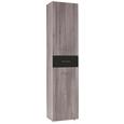 Regal Dark - siva/črna, Moderno, steklo/les (45/199/35cm) - Premium Living Regal Dark - siva/črna, Moderno, steklo/les (45/199/35cm) - Premium Living