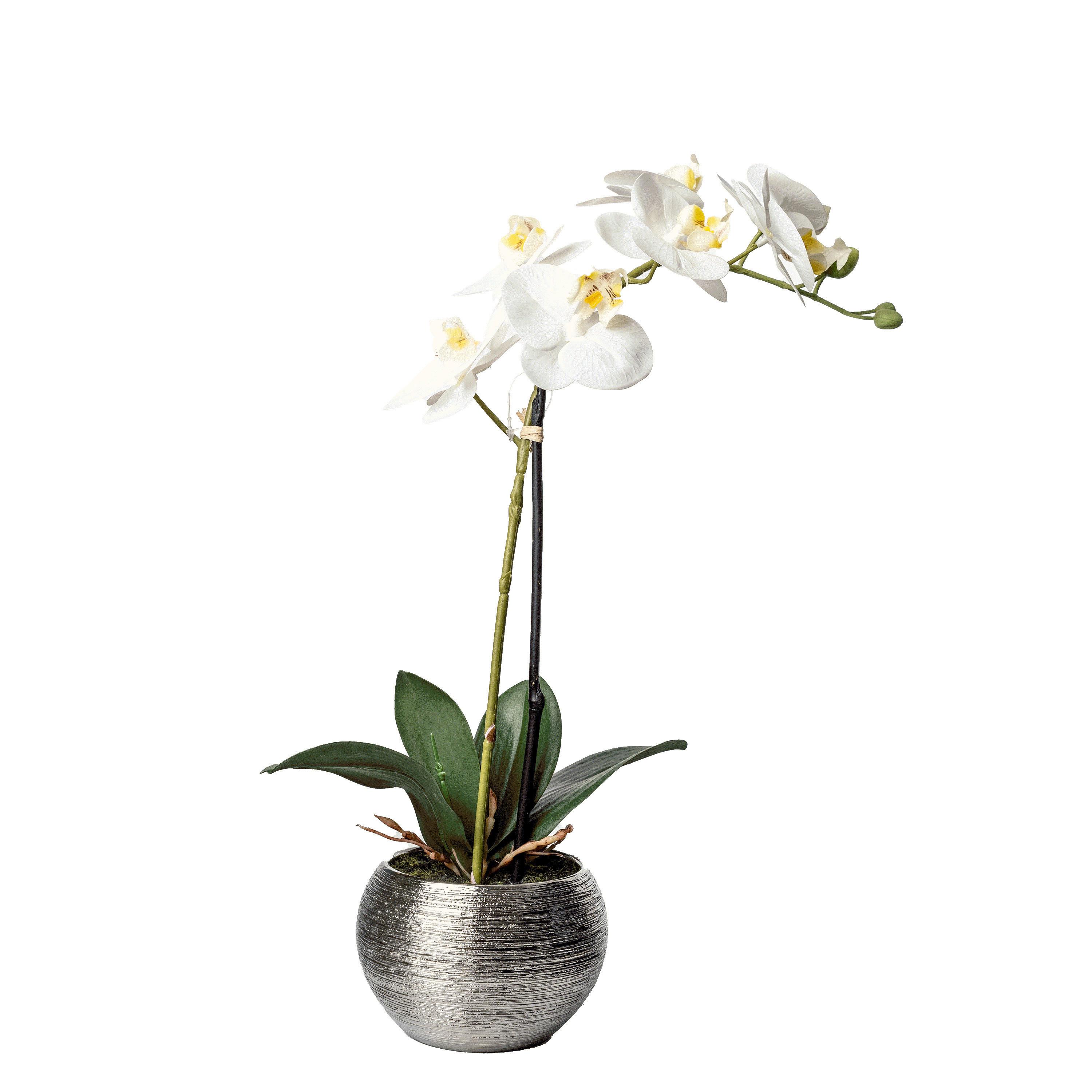 ORCHIDEA 1203-778 - zielony/kolor srebrny, Basics, tworzywo sztuczne/ceramika (45cm)