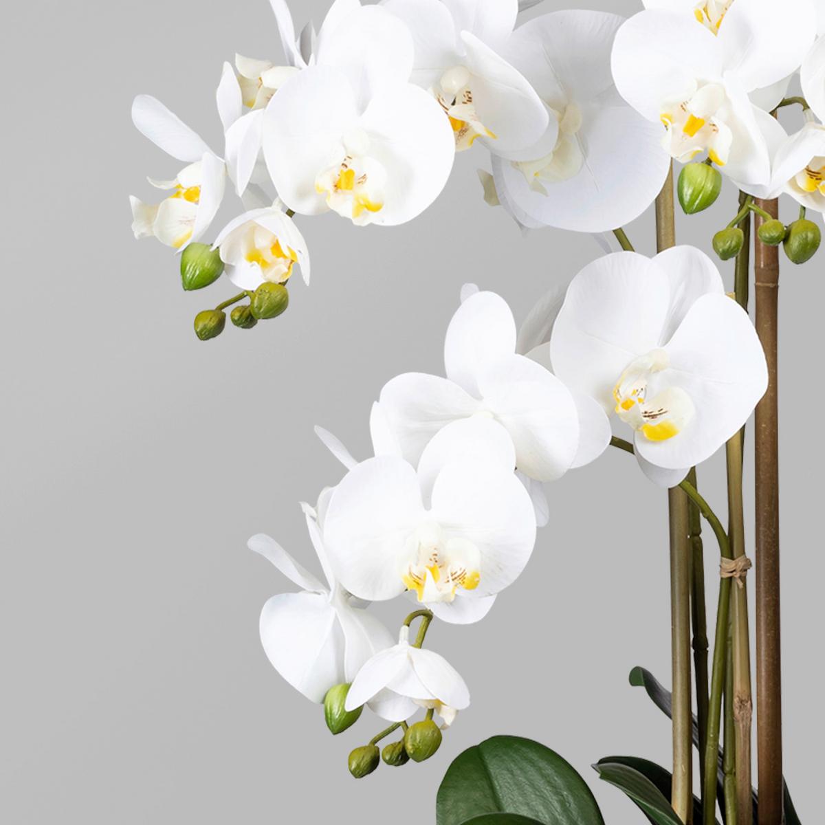 Kunstblume Orchidee, ca. 75cm - Weiß/Braun, Trend, Kunststoff (75cm)