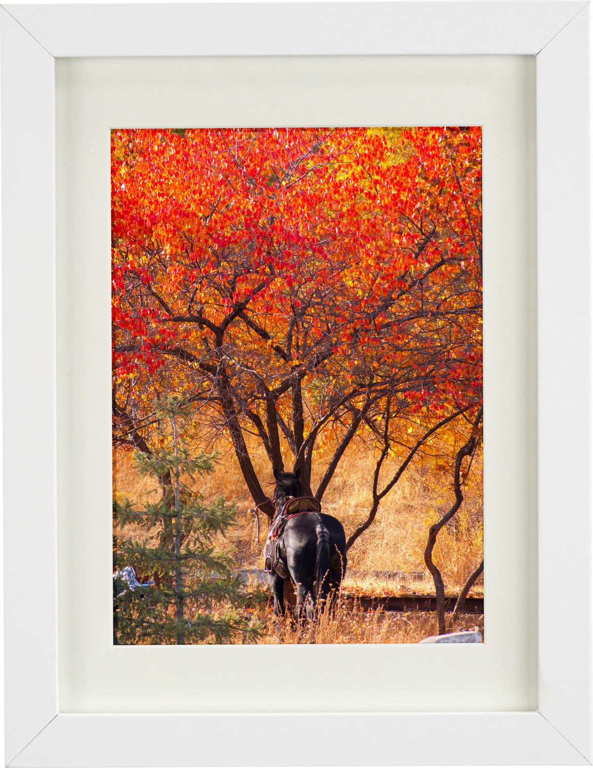 Bilderrahmen Gitta in Weiß ca. 50x70cm - Weiß, MODERN, Holzwerkstoff/Kunststoff (50/70cm) - Modern Living
