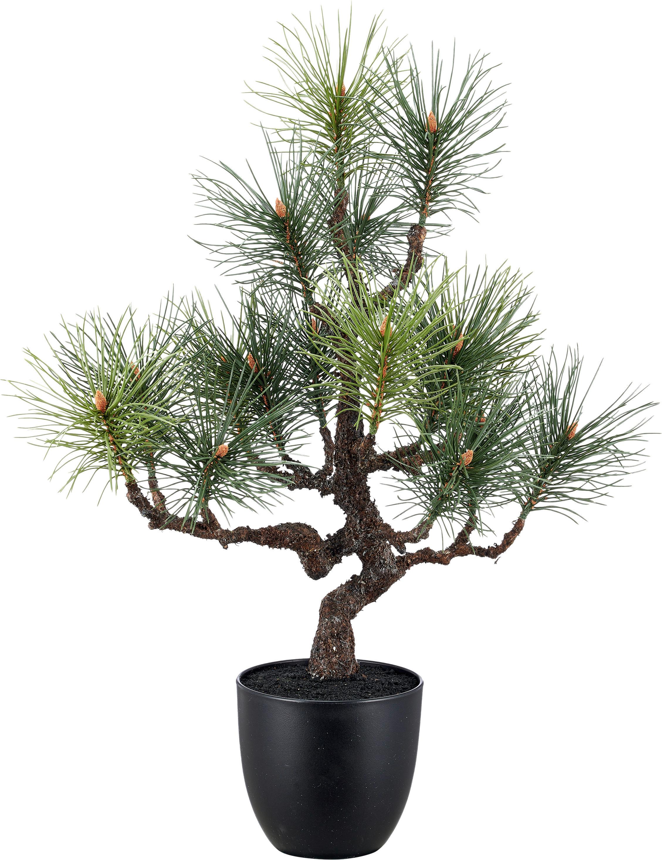 Kunstpflanze Bonsaikiefer Braun/Schwarz/Grün - Schwarz/Braun, Basics, Kunststoff (45/81/37cm)
