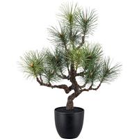 Kunstpflanze Bonsaikiefer Braun/Schwarz/Grün - Schwarz/Braun, Basics, Kunststoff (45/81/37cm)
