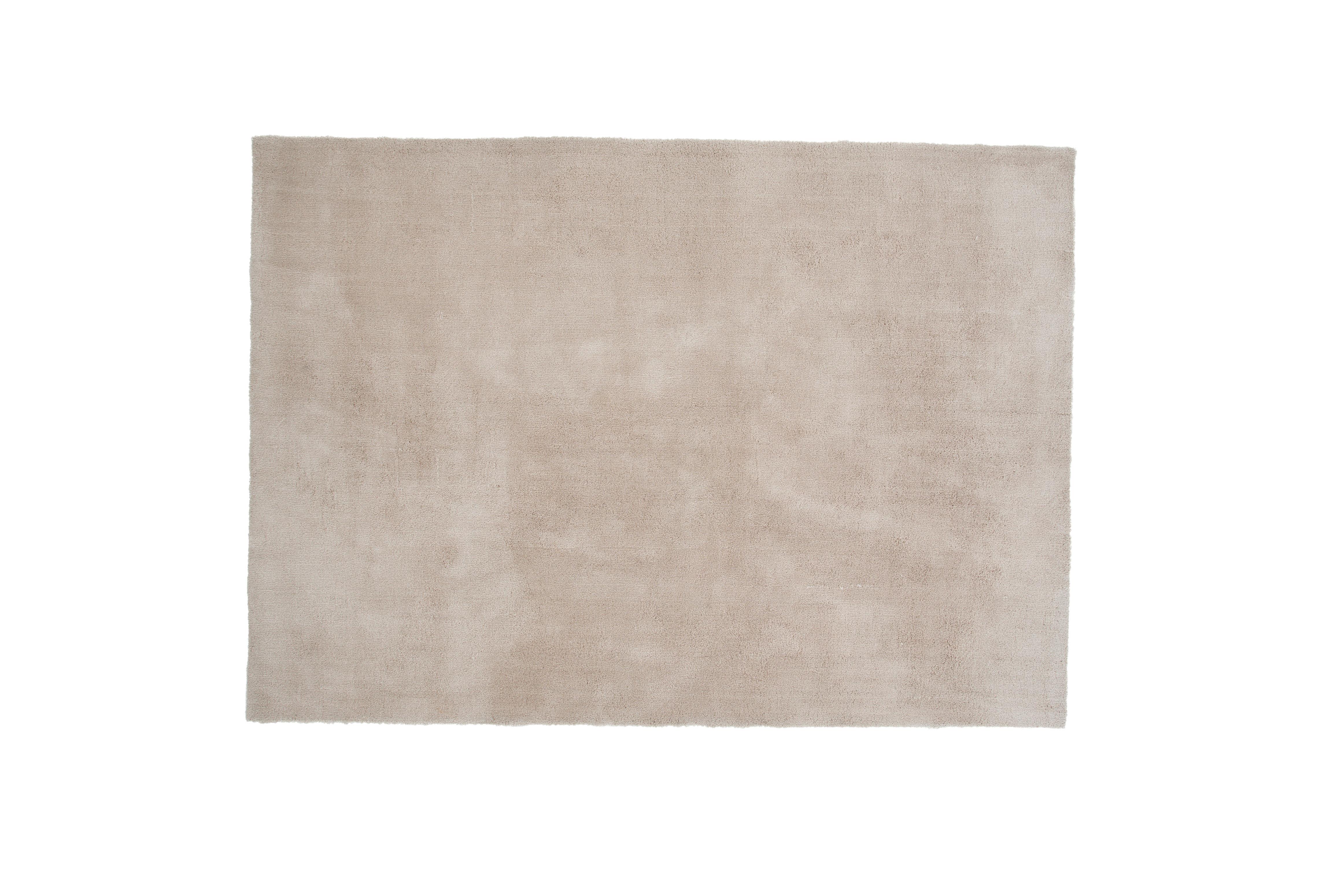 HOCHFLORTEPPICH UNDRA - Beige, LIFESTYLE, Textil (250/350cm) - P & B