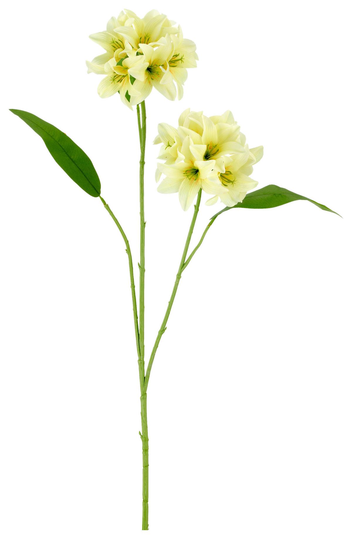 Lilie I Grün/Hellgelb ca. 78cm - Hellgelb/Grün, Basics, Kunststoff/Textil (78cm) - Mömax