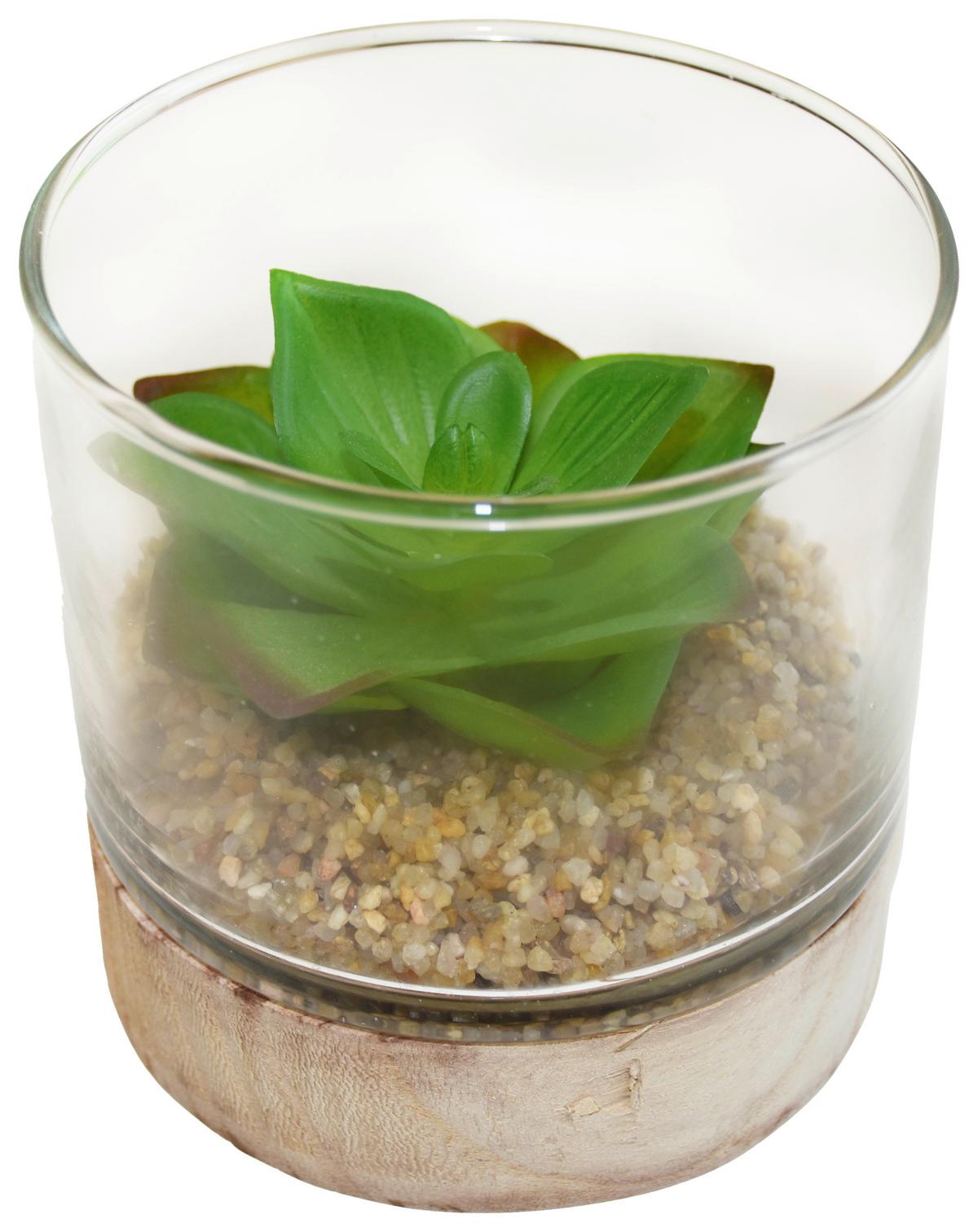 Plantă artificială SUKKULENTENDISPLAY II - verde, Basics, plastic/sticlă (10/10cm) - Modern Living