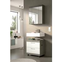 Badezimmer Scout Grau/Weiß Hochglanz 2-teilig - Weiß Hochglanz/Silberfarben, Trend, Glas/Holzwerkstoff (60cm) - MID.YOU