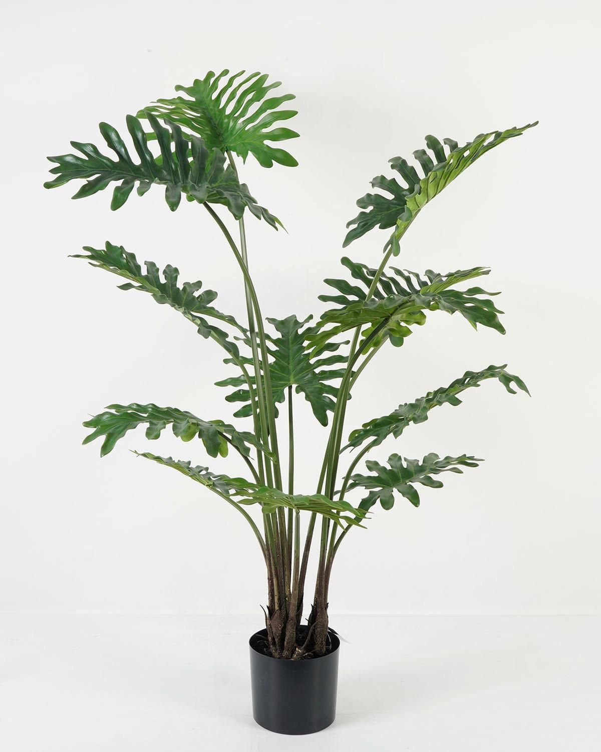 Műnövény Fred - fekete/zöld, műanyag (104/104/130cm)