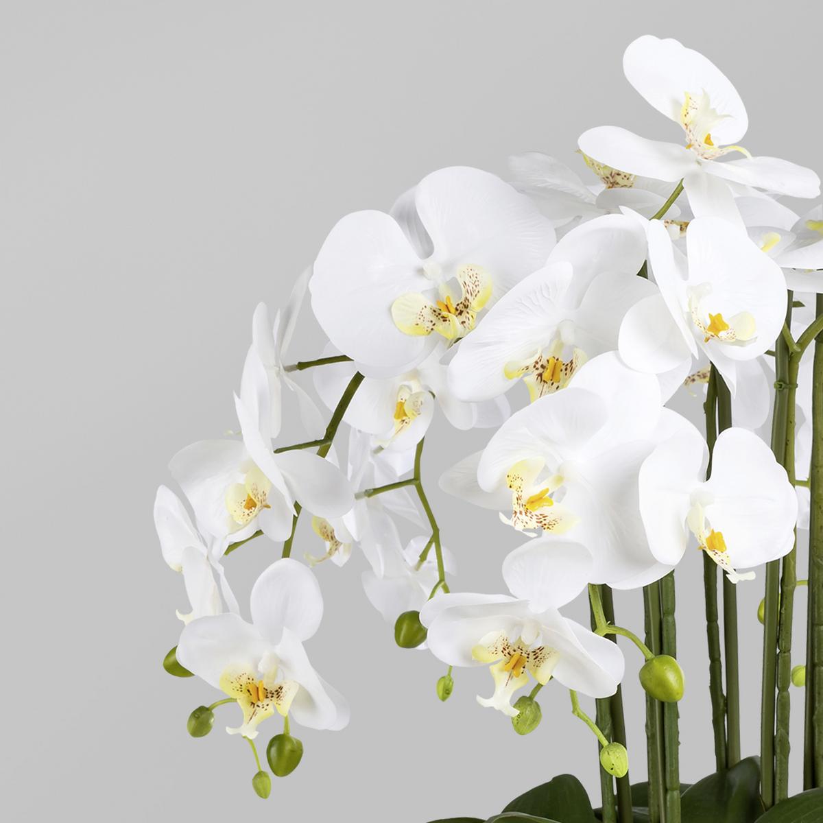 Kunstpflanze entdecken Orchidee online