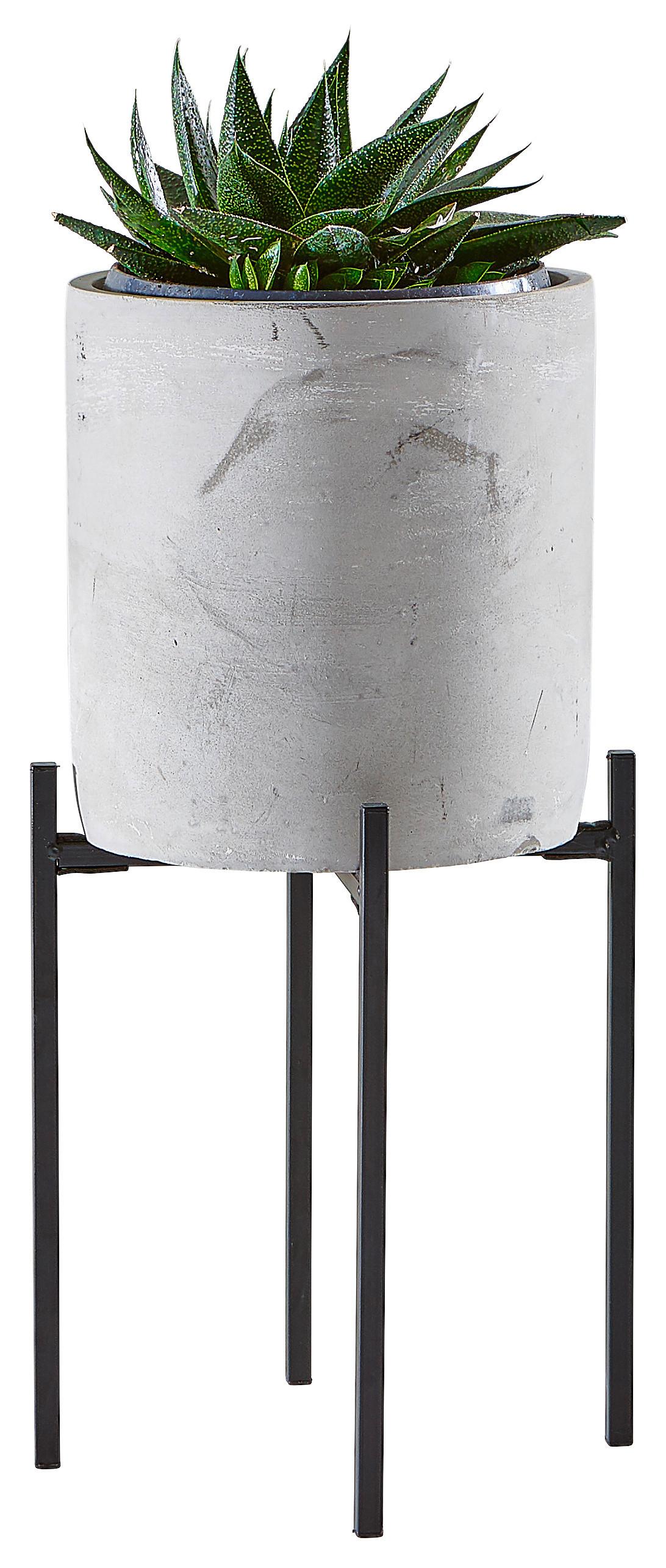 DONICA BOTANIC GARDEN - czarny/szary, Design, kamień/metal (17/45,5cm) - Ambia Home