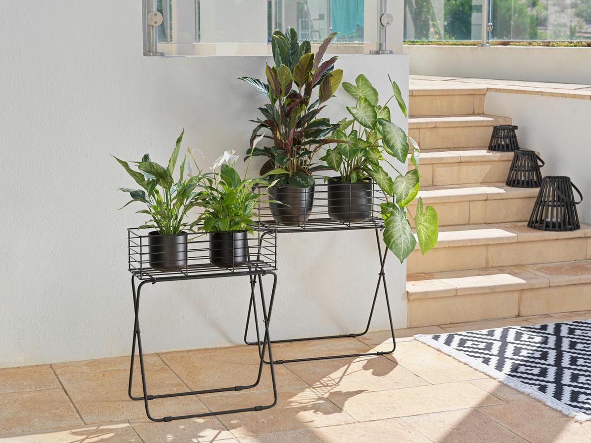 Növénytartó Black Times - fekete, Basics, fém (50/64/24cm) - Modern Living
